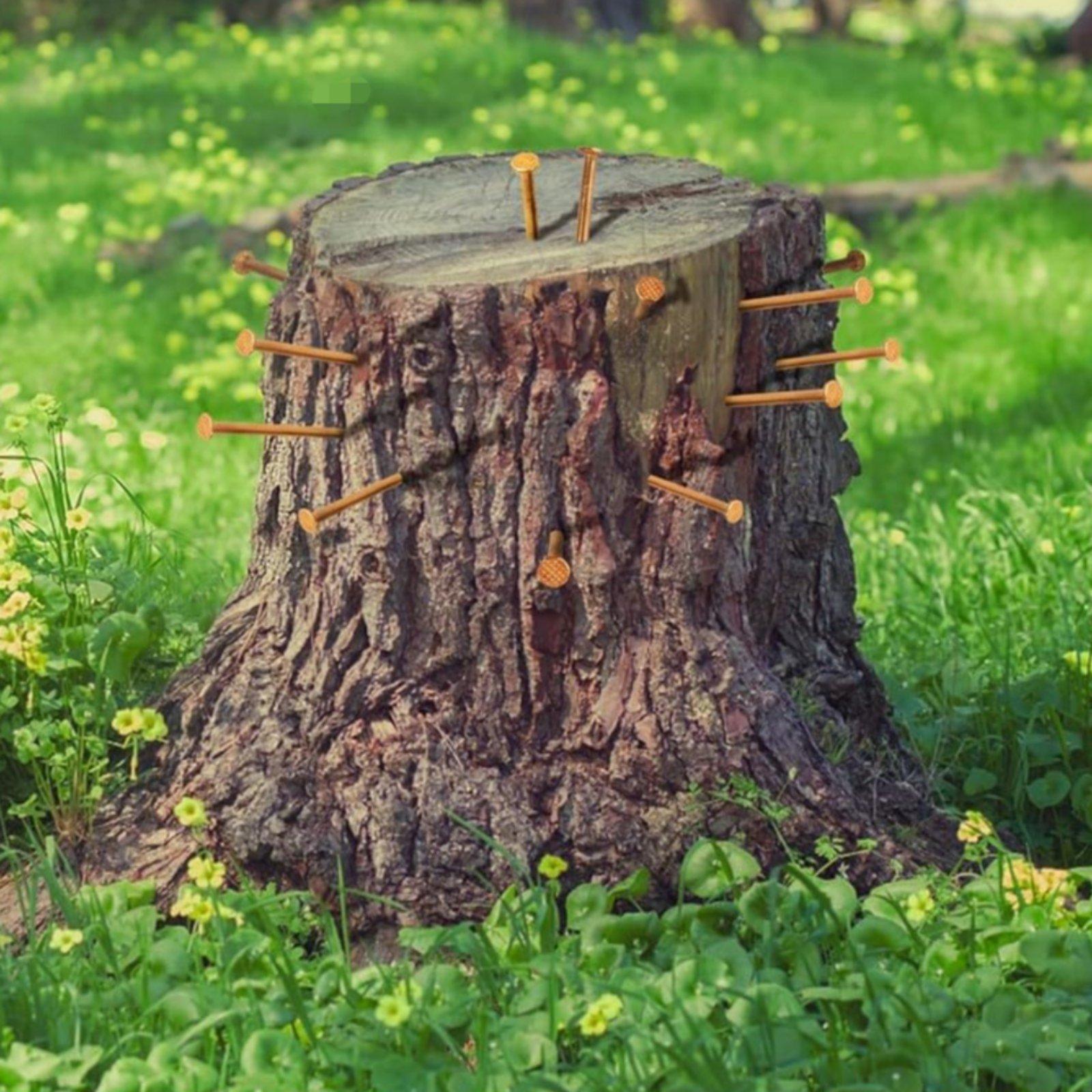 Clous pour souches d'arbres, s - Heavy Equipment Landscaping avis et prix