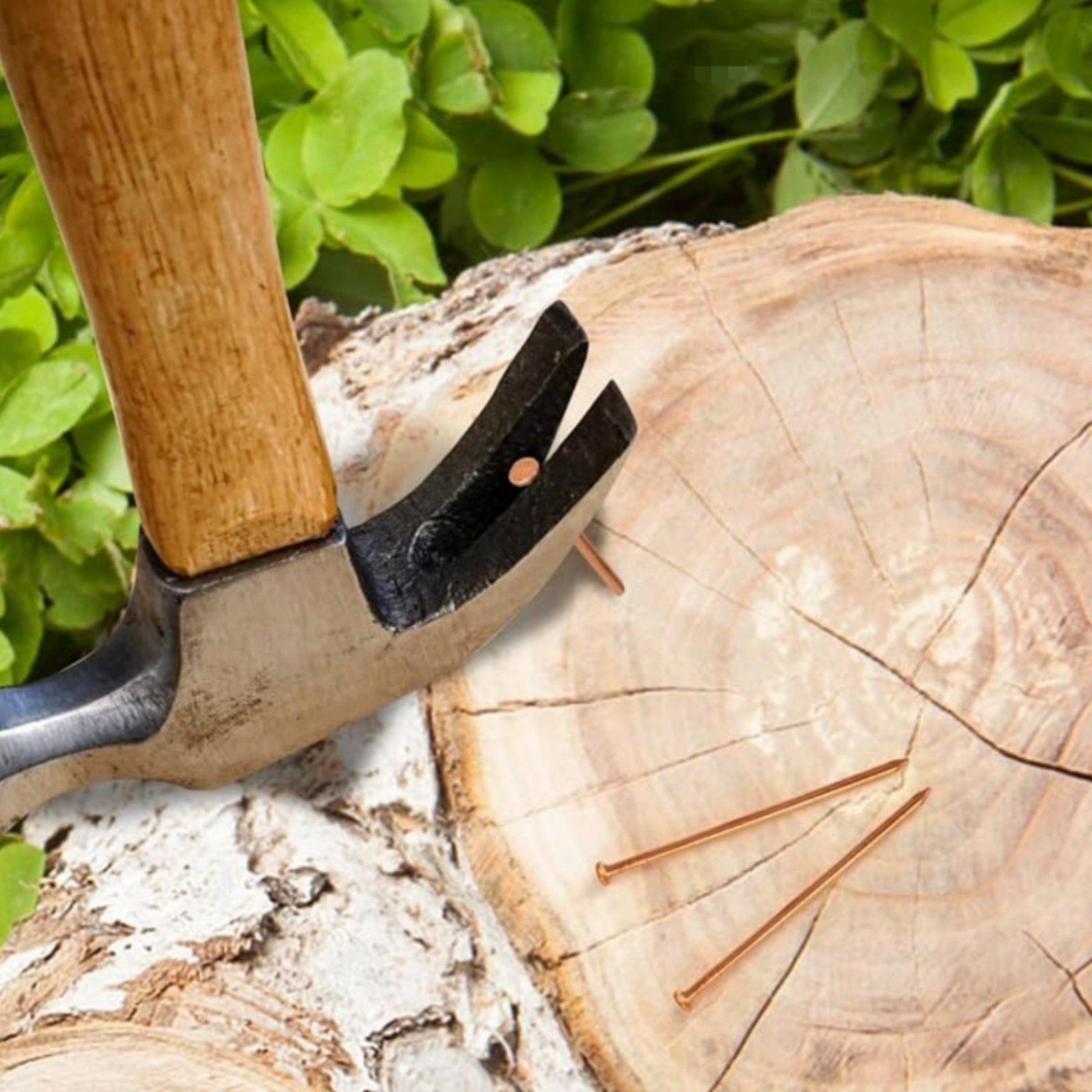 Clous pour souches d'arbres, s - Heavy Equipment Landscaping avis et prix